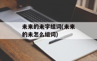 未来的未字组词(未来的未怎么组词)