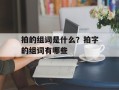 拍的组词是什么？拍字的组词有哪些