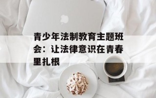 青少年法制教育主题班会：让法律意识在青春里扎根