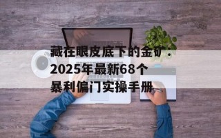 藏在眼皮底下的金矿：2025年最新68个暴利偏门实操手册