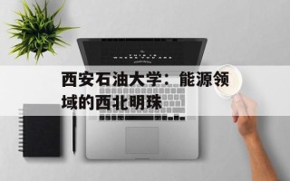 西安石油大学：能源领域的西北明珠