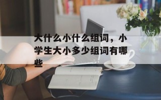 大什么小什么组词，小学生大小多少组词有哪些