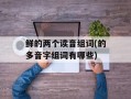 鲜的两个读音组词(的多音字组词有哪些)