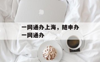一网通办上海，随申办一网通办
