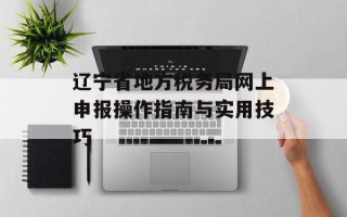 辽宁省地方税务局网上申报操作指南与实用技巧