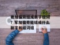 君加偏旁组成新字组词？军加偏旁能组成什么新字并组词组