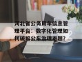 河北省公务用车信息管理平台：数字化管理如何破解公车治理难题？