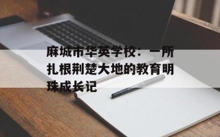 麻城市华英学校：一所扎根荆楚大地的教育明珠成长记