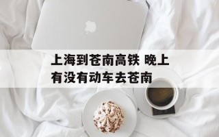上海到苍南高铁 晚上有没有动车去苍南