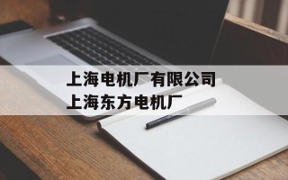 上海电机厂有限公司 上海东方电机厂