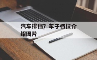 汽车排档？车子档位介绍图片