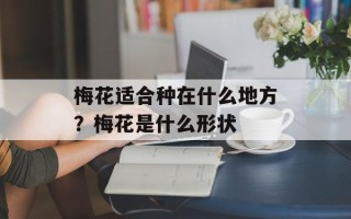 梅花适合种在什么地方？梅花是什么形状