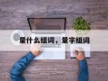 量什么组词，量字组词