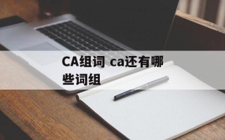 CA组词 ca还有哪些词组