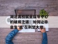湖北高校就业指导中心的破局之道：如何让毕业生'就'在荆楚大地