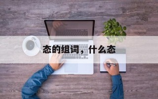 态的组词，什么态