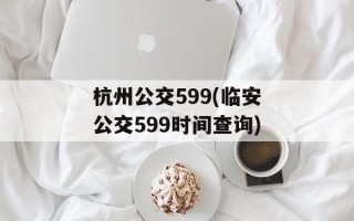 杭州公交599(临安公交599时间查询)