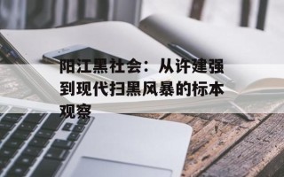 阳江黑社会：从许建强到现代扫黑风暴的标本观察