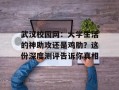 武汉校园网：大学生活的神助攻还是鸡肋？这份深度测评告诉你真相