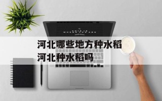 河北哪些地方种水稻 河北种水稻吗