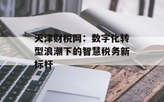 天津财税网：数字化转型浪潮下的智慧税务新标杆