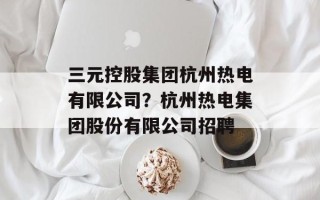 三元控股集团杭州热电有限公司？杭州热电集团股份有限公司招聘