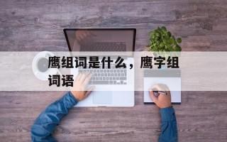鹰组词是什么，鹰字组词语