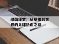绿茵逐梦：从草根到世界的足球热血之路