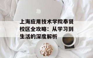 上海应用技术学院奉贤校区全攻略：从学习到生活的深度解析