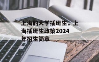 上海的大学插班生，上海插班生政策2024年招生简章