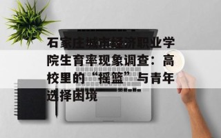 石家庄城市经济职业学院生育率现象调查：高校里的“摇篮”与青年选择困境