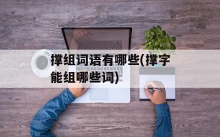撑组词语有哪些(撑字能组哪些词)