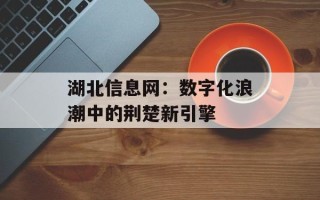 湖北信息网：数字化浪潮中的荆楚新引擎