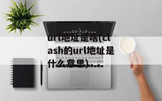 url地址是啥(clash的url地址是什么意思)