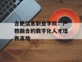 合肥信息职业学院：产教融合的数字化人才培养高地
