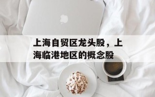 上海自贸区龙头股，上海临港地区的概念股