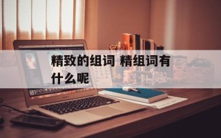 精致的组词 精组词有什么呢