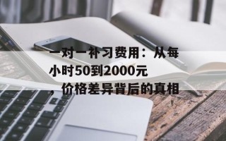 一对一补习费用：从每小时50到2000元，价格差异背后的真相