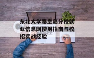 东北大学秦皇岛分校就业信息网使用指南与校招实战经验