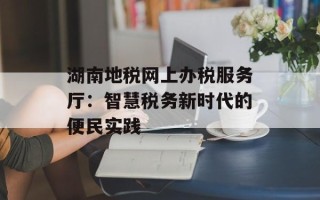 湖南地税网上办税服务厅：智慧税务新时代的便民实践