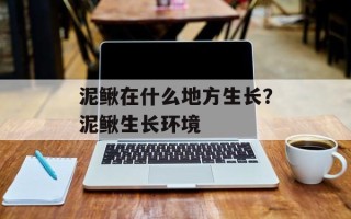 泥鳅在什么地方生长？泥鳅生长环境