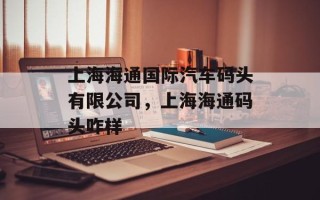上海海通国际汽车码头有限公司，上海海通码头咋样