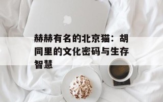 赫赫有名的北京猫：胡同里的文化密码与生存智慧