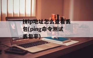 拼ip地址怎么查看丢包(ping命令测试丢包率)
