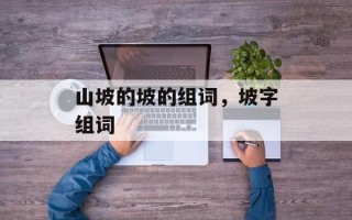 山坡的坡的组词，坡字组词