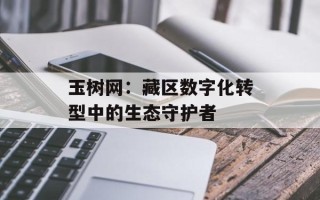 玉树网：藏区数字化转型中的生态守护者