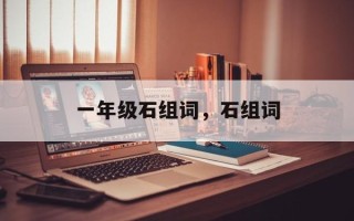 一年级石组词，石组词