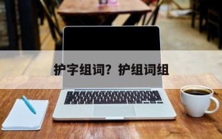 护字组词？护组词组