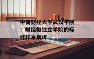 中南财经大学武汉学院：财经类独立学院的标杆样本解析