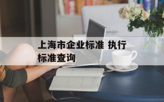 上海市企业标准 执行标准查询